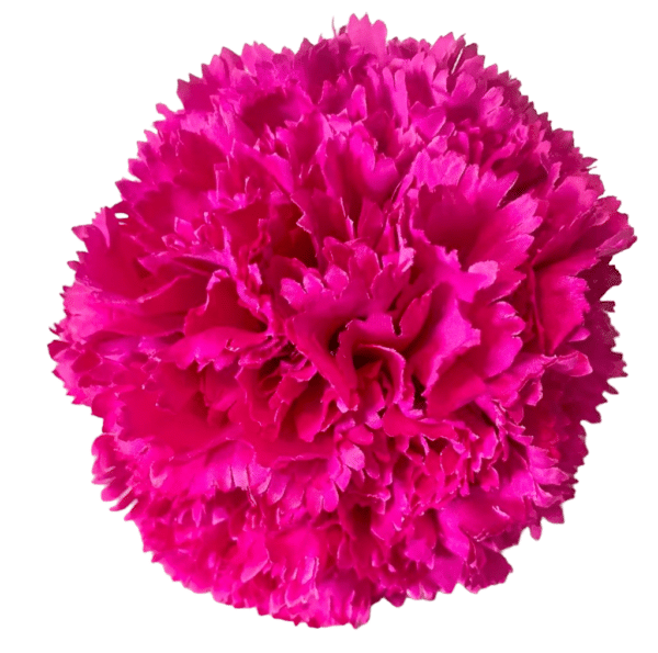 Ramillete Flamenca de Claveles