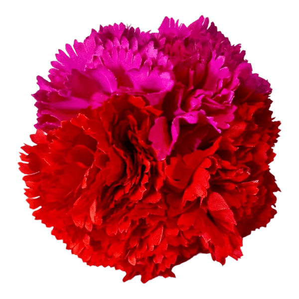 Ramillete de Claveles Rojo y Fucsia
